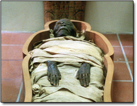 накокаиненная мумия
