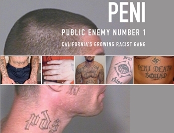 Белые банды Америки: Public Enemy Number 1 (PENI)
