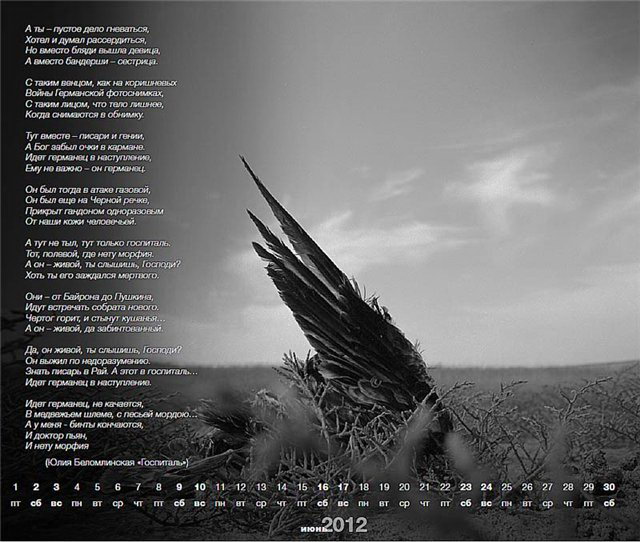 Поэтический календарь